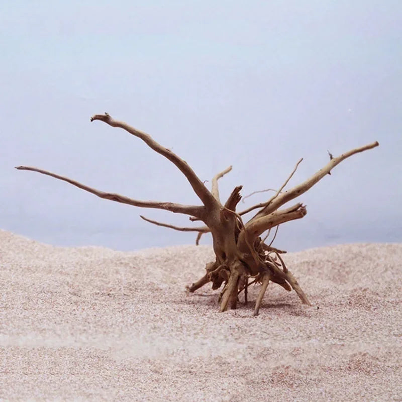 Driftwood Terrarium Décor