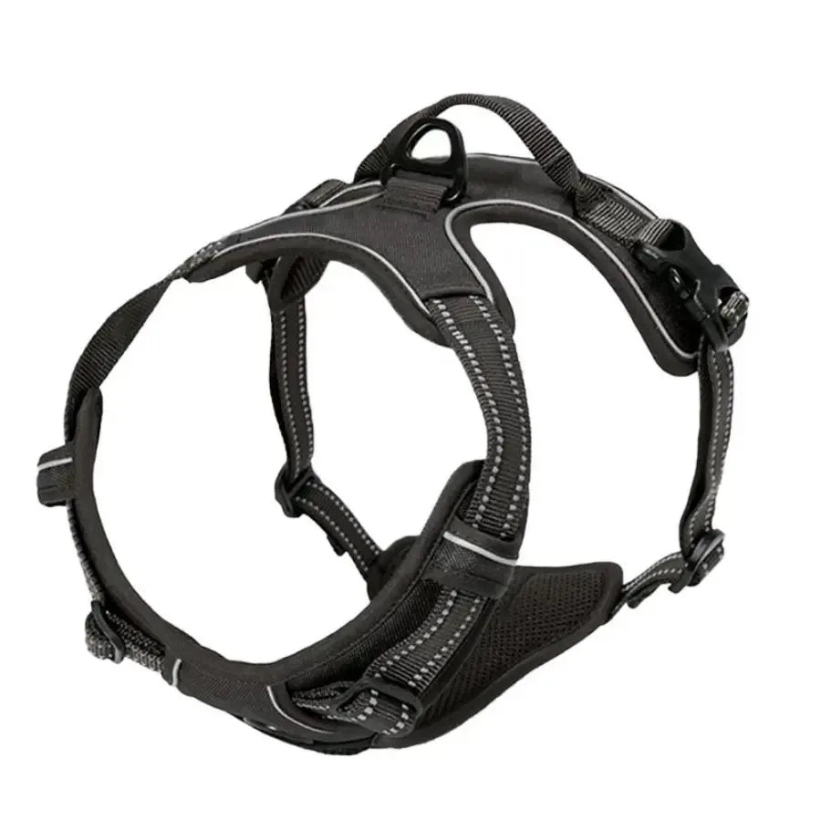 Collars, Harnesses & Leash Set