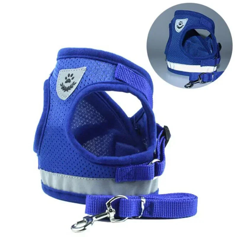 Adjustable Mesh Vest Harness & Leash Set