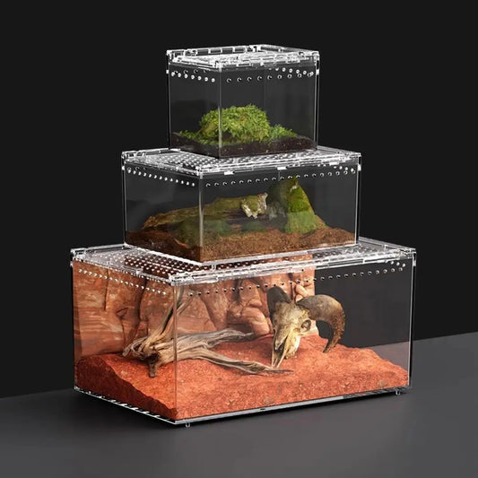 Acrylic Terrarium
