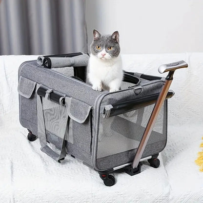 Travel Bag on Wheels
