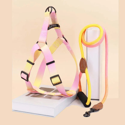 Colorful Harness & Leash Set
