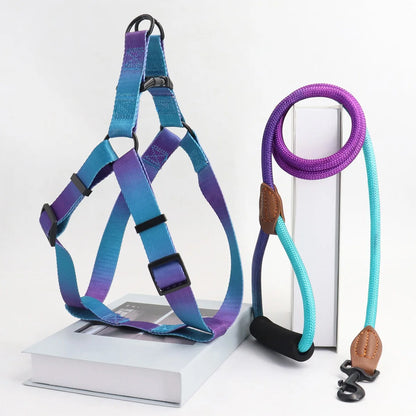 Colorful Harness & Leash Set