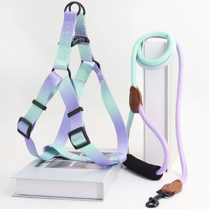 Colorful Harness & Leash Set