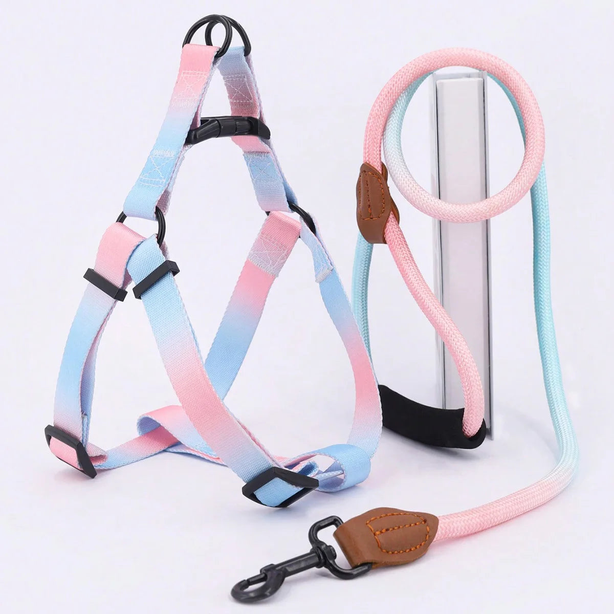 Colorful Harness & Leash Set