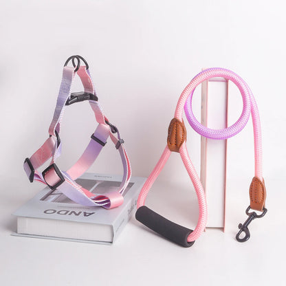Colorful Harness & Leash Set