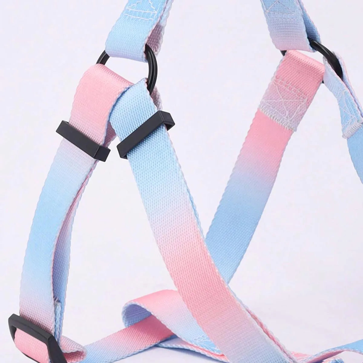 Colorful Harness & Leash Set