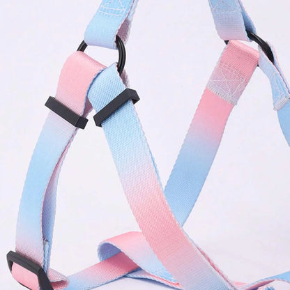 Colorful Harness & Leash Set