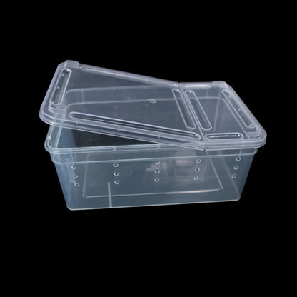 Reptile Transport Box