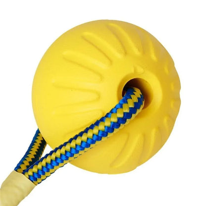 Yellow Ball Toy