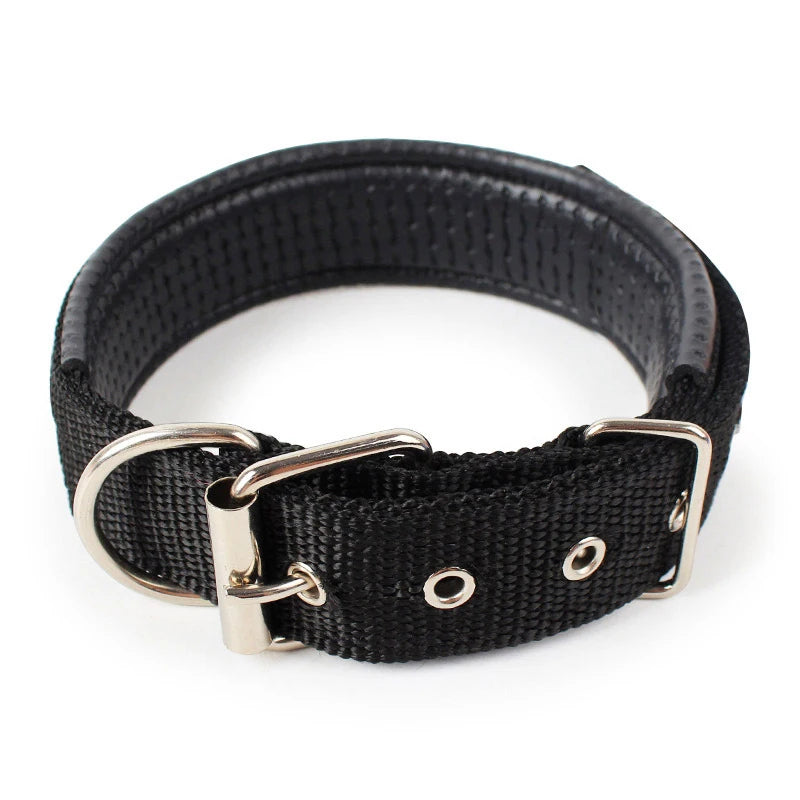 Nylon Collar