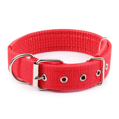 Nylon Collar