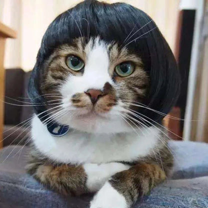 Funny Wig