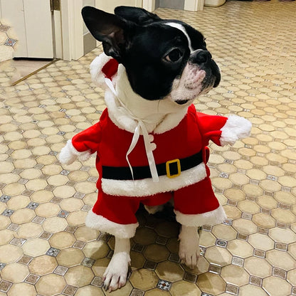 Dog Santa Costume 1