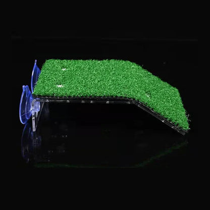 Turtle Moss Platform