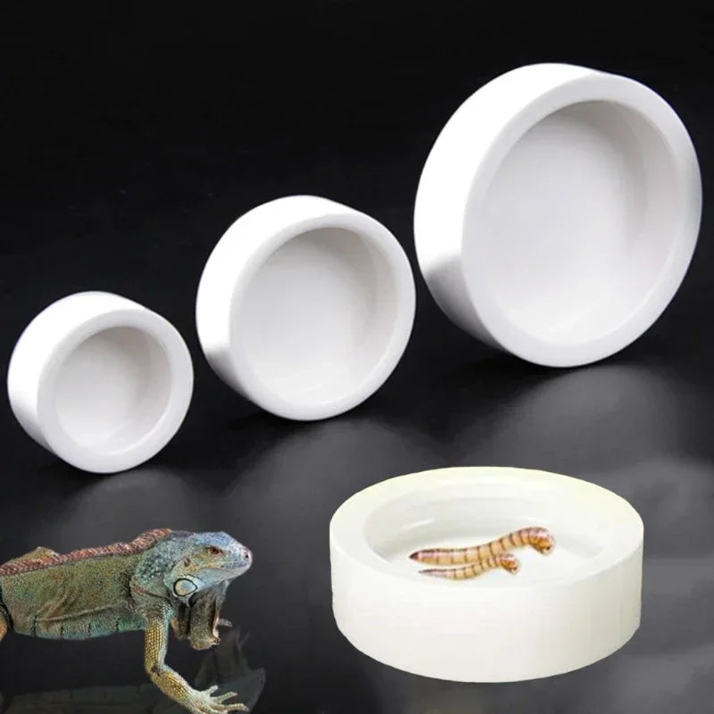 Reptile Ceramic Feeding Bowl 3