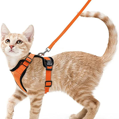 Cat Harness and Leash 3