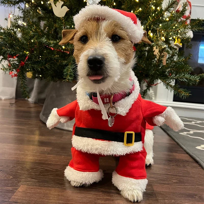 Dog Santa Costume 1
