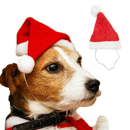 Pet Santa Hat