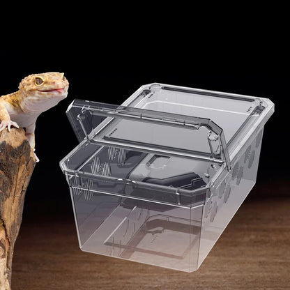 Reptile Breeding Box