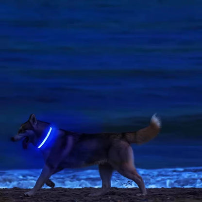 Led Glowing Collar