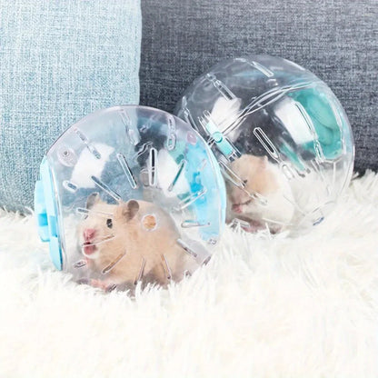 Transparent Hamster Ball