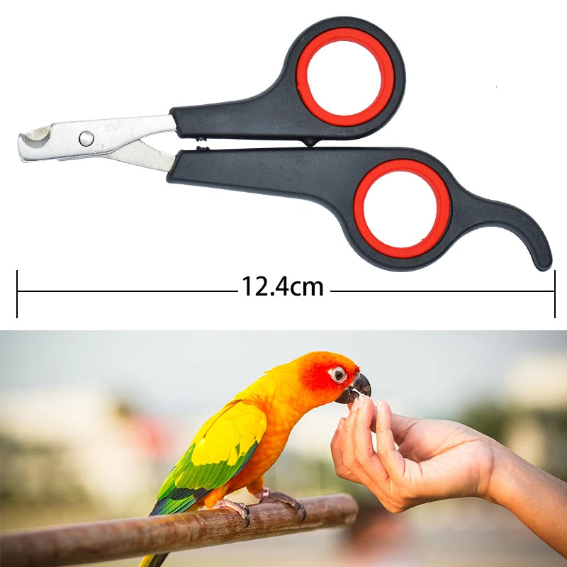 Parrot Nail Clipper 1
