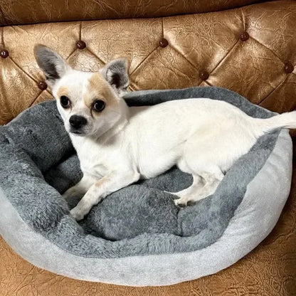 Cozy Pet Sofa - Bed