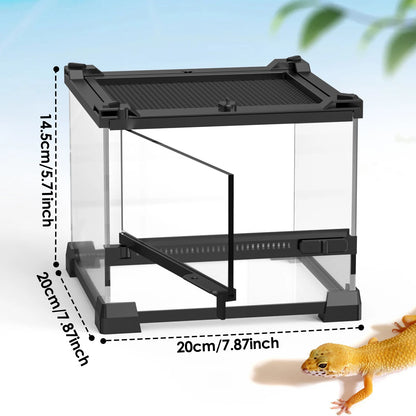 Tempered Glass Terrarium