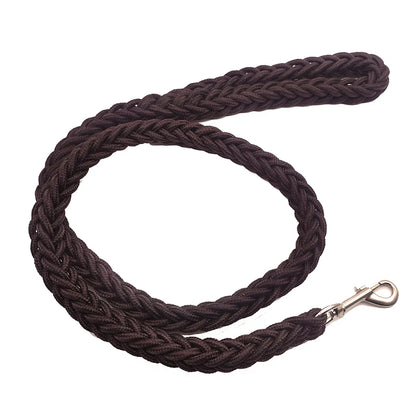 Nylon Leash