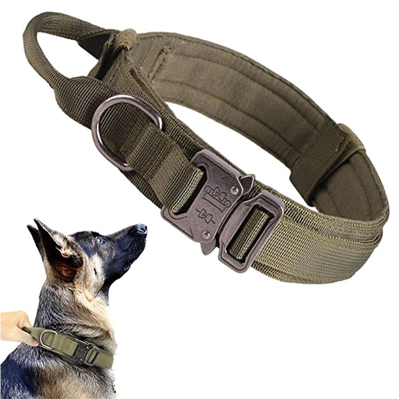 Tactical Training Collar and Leash Set