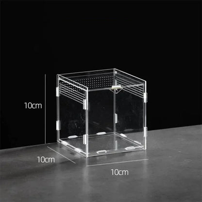 Reptile Acrylic Terrarium