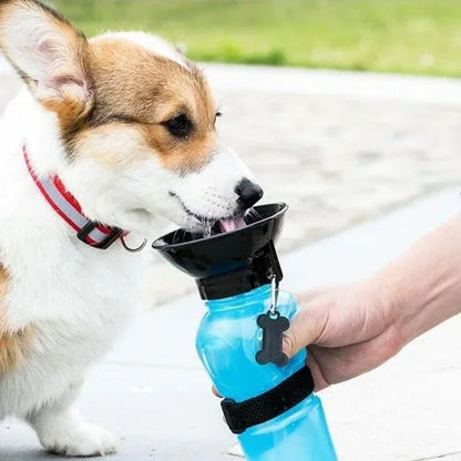 Portable Water Bottle 2