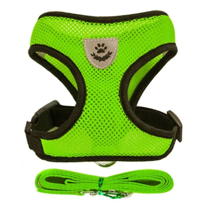 Cat Harness and Leash 8