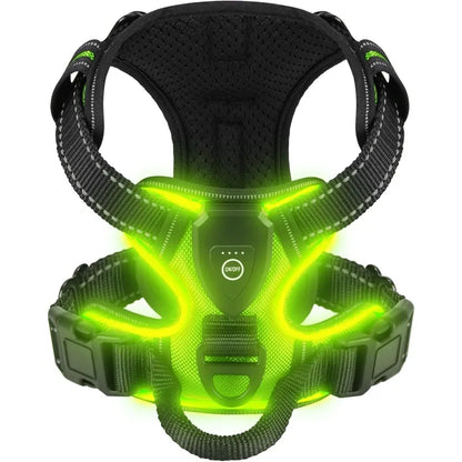 LED Luminous Harness