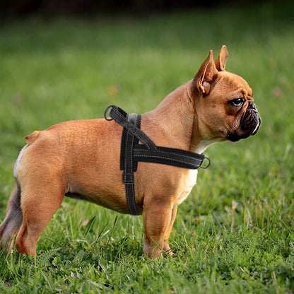 Reflective No-Pull Padded Harness