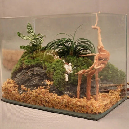 Driftwood Terrarium Décor