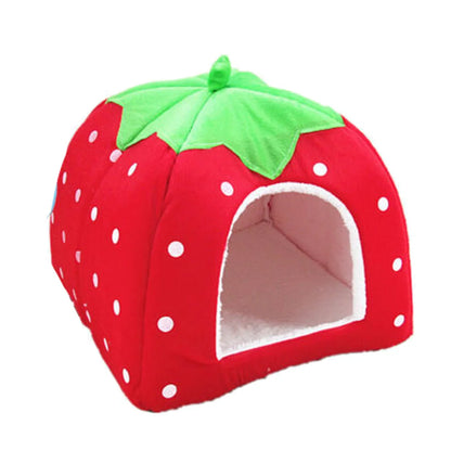 Strawberry House for Small Dogs & Cats