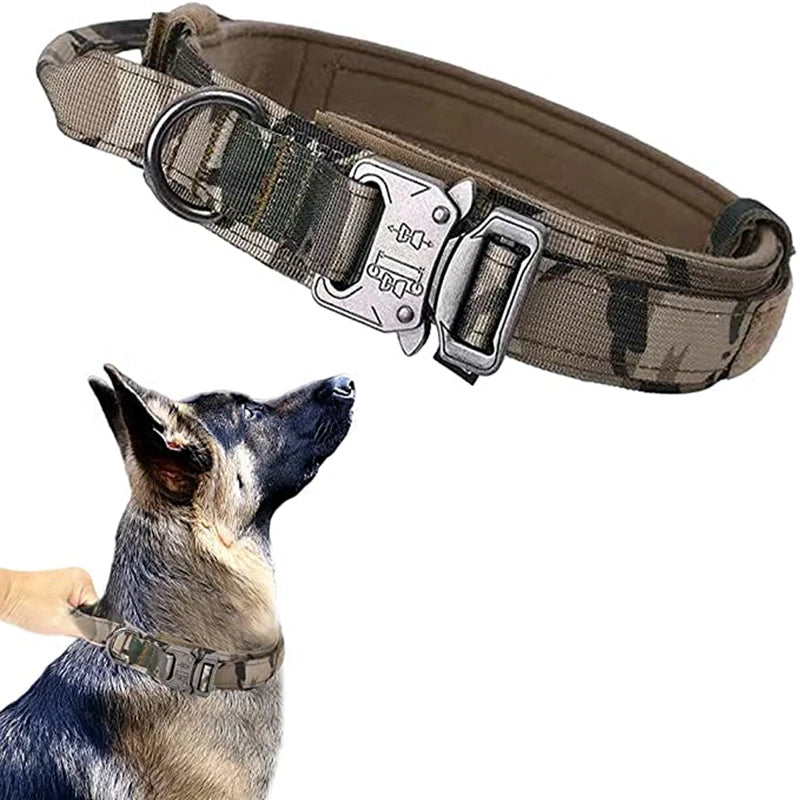 Tactical Training Collar and Leash Set