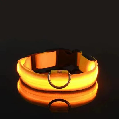 Led Glowing Collar