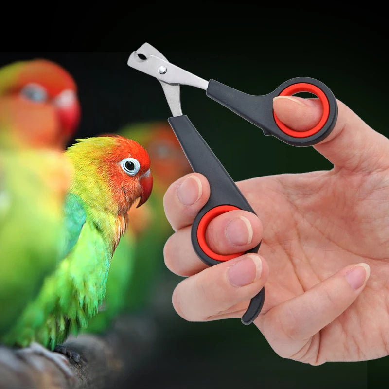Parrot Nail Clipper 1