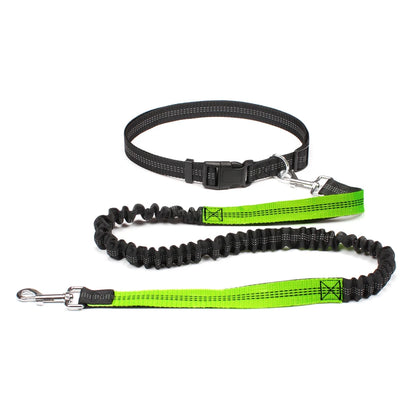 Hand Free Leash for Jogging