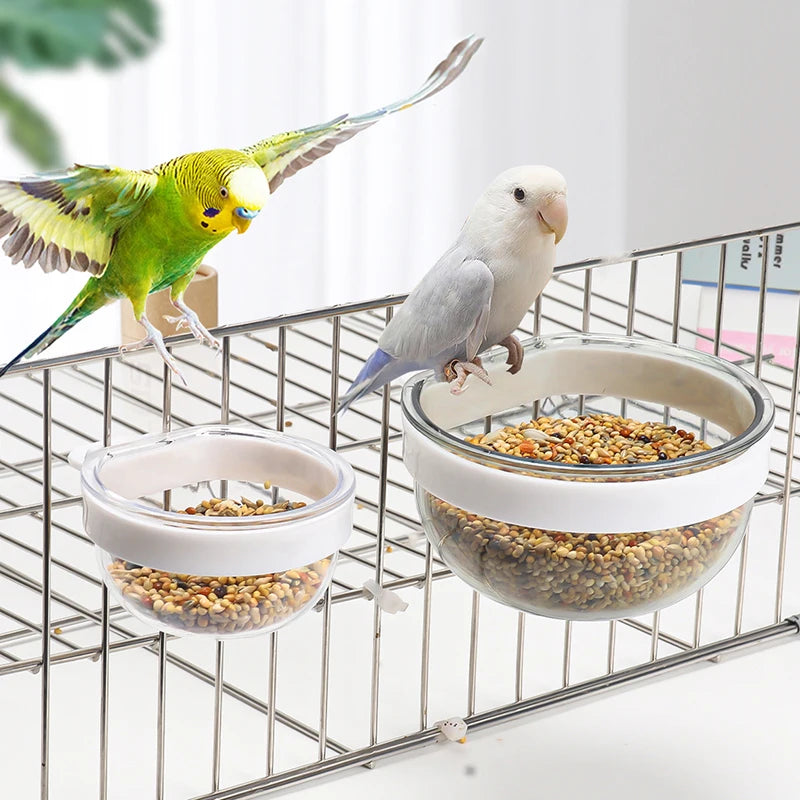 Bird Plastic Feeding Bowl