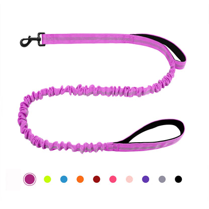 Bungee Leash with Shock Absorption