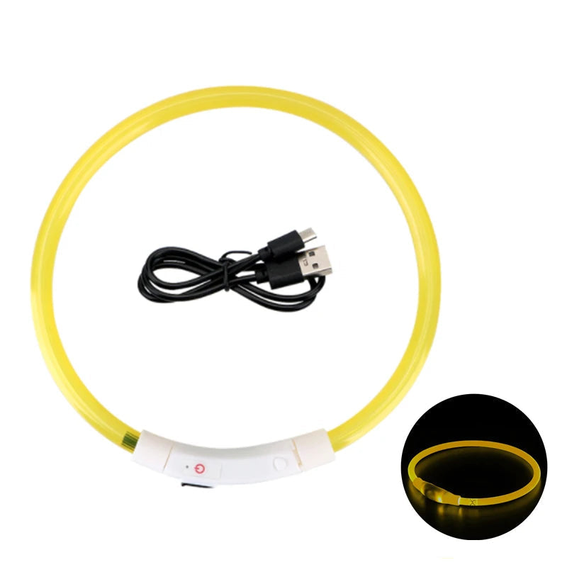 LED Collar