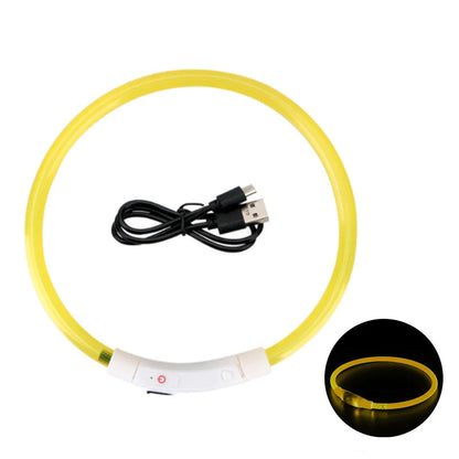 LED Collar