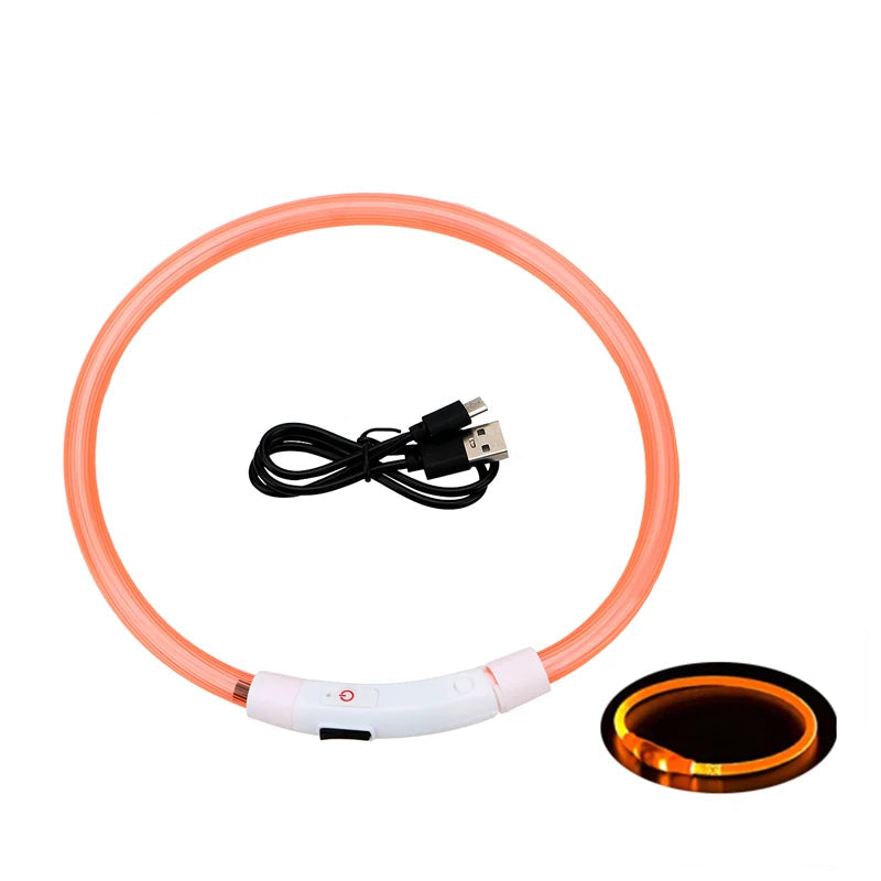 LED Collar