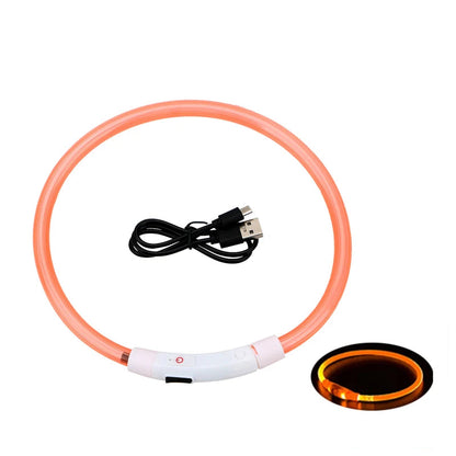 LED Collar