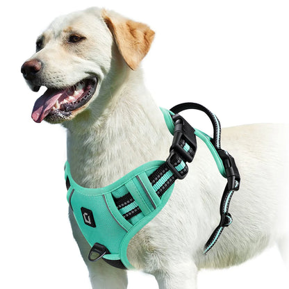 No-Pull Padded Harness