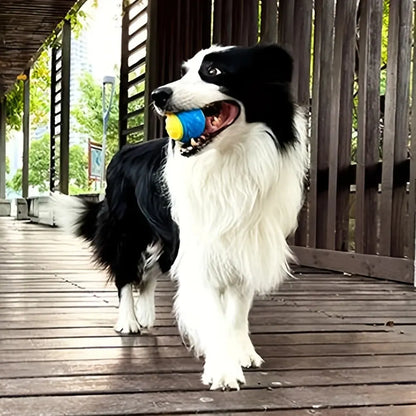 Durable Chew Ball Toy